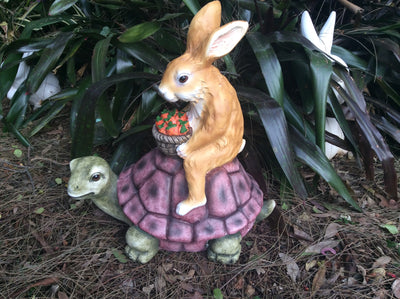  45cm Rabbit on Turtle