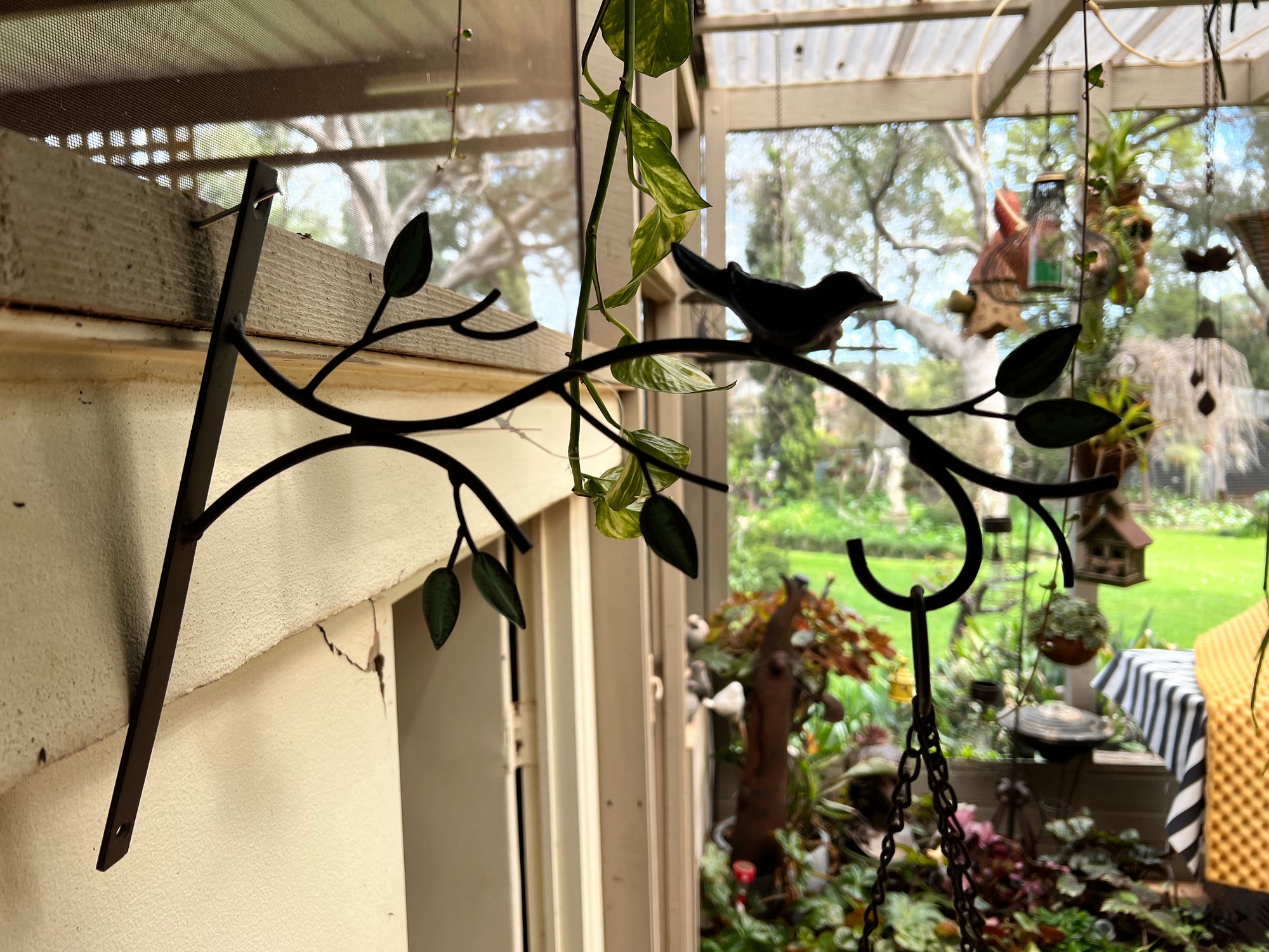 bird nest in hanging planter Bird Nest Doorpost Hanging Planter