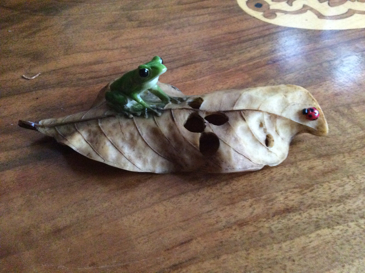  Resin Froggy on large leaf