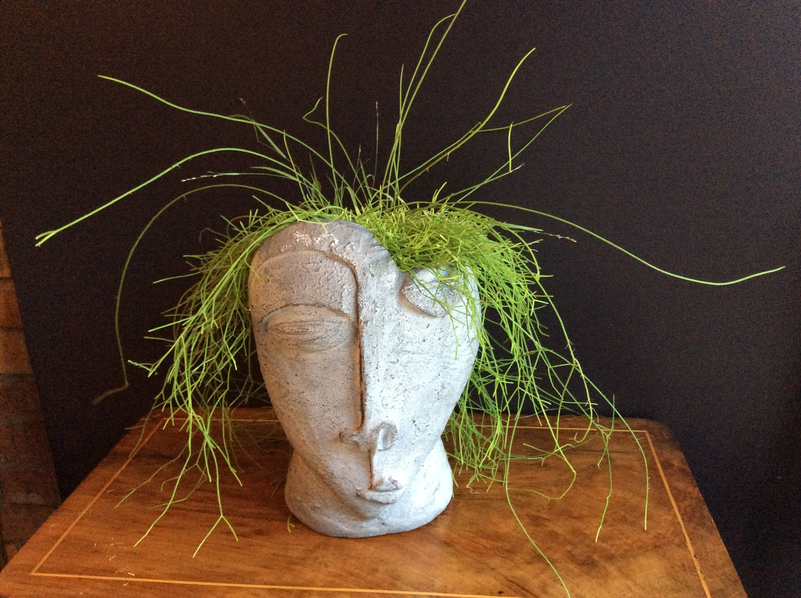  Pablo Fractured Artefact Planter