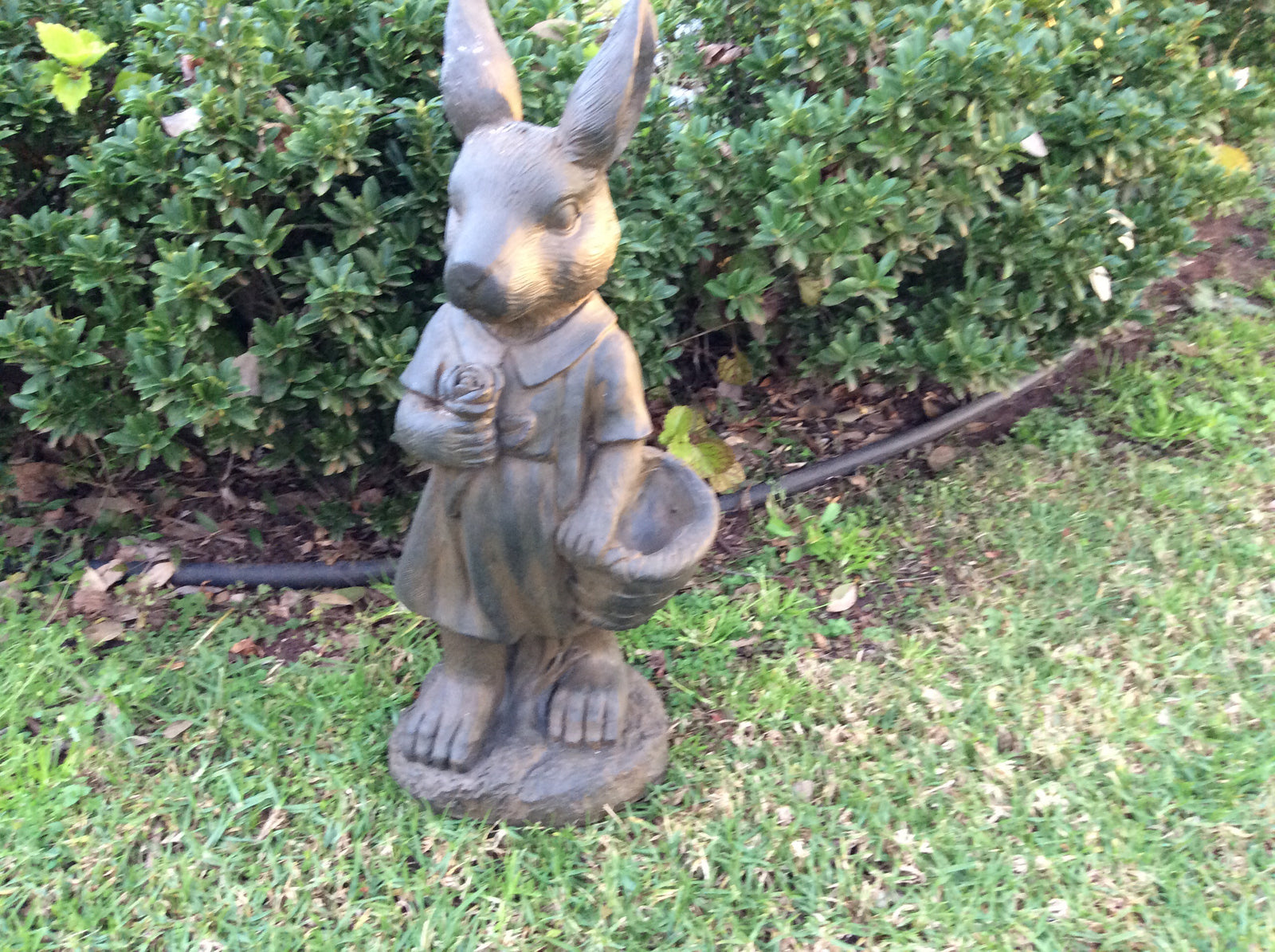  Mrs Rabbit  -Medium Rusted Iron Finish