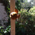  Rust Hanging Tweety - Large