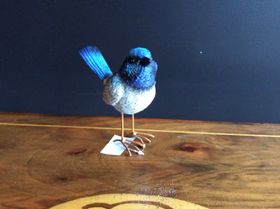  Large Fairy Wren with feet - Blue