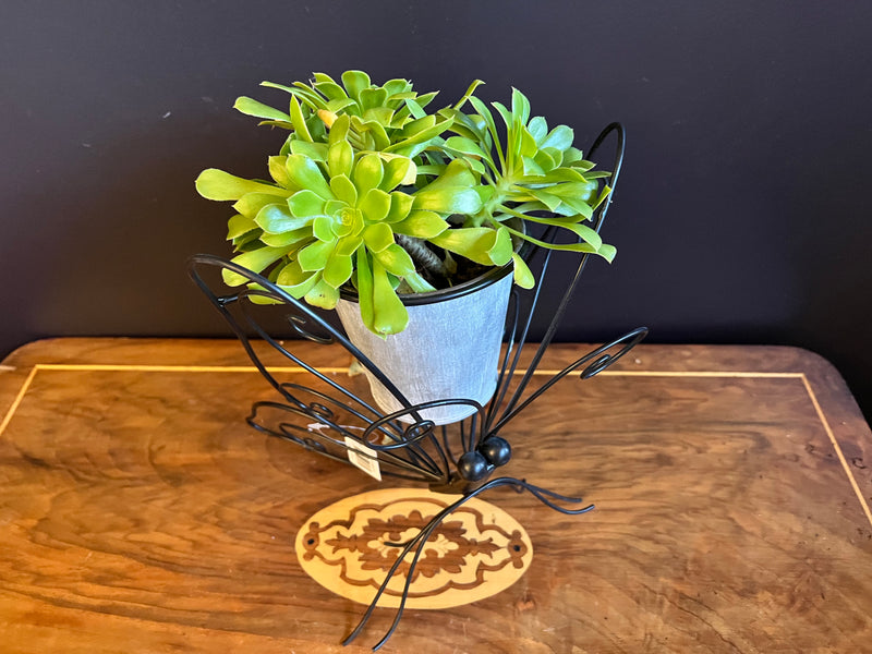  Contemporary Black Butterfly w/pot Plant holder