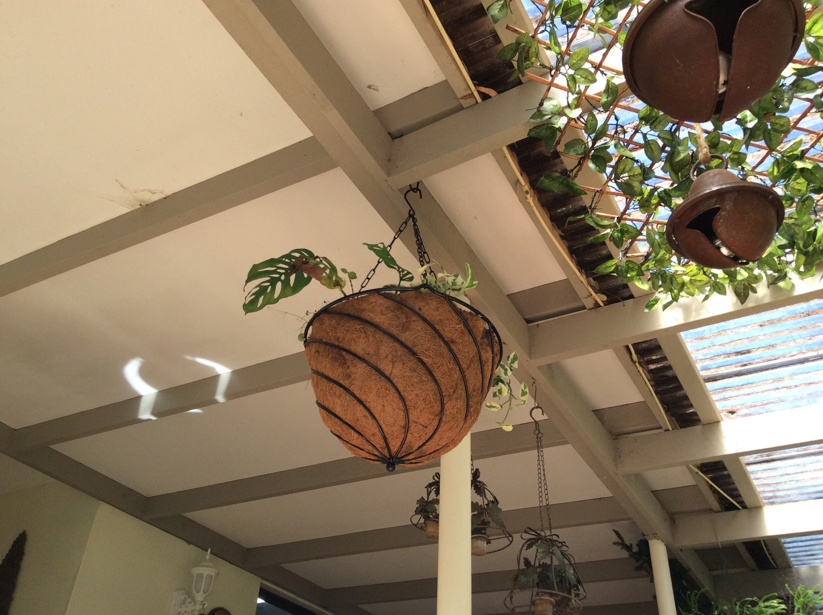  Hanging Basket Tear Drop with Liner 48cm -Black