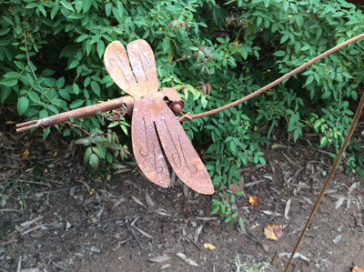  Rust balancing Dragonfly with glass ball