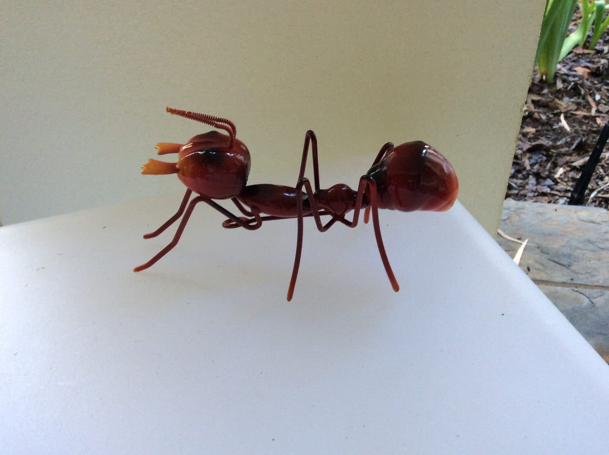  The Little Red Ant - Metal