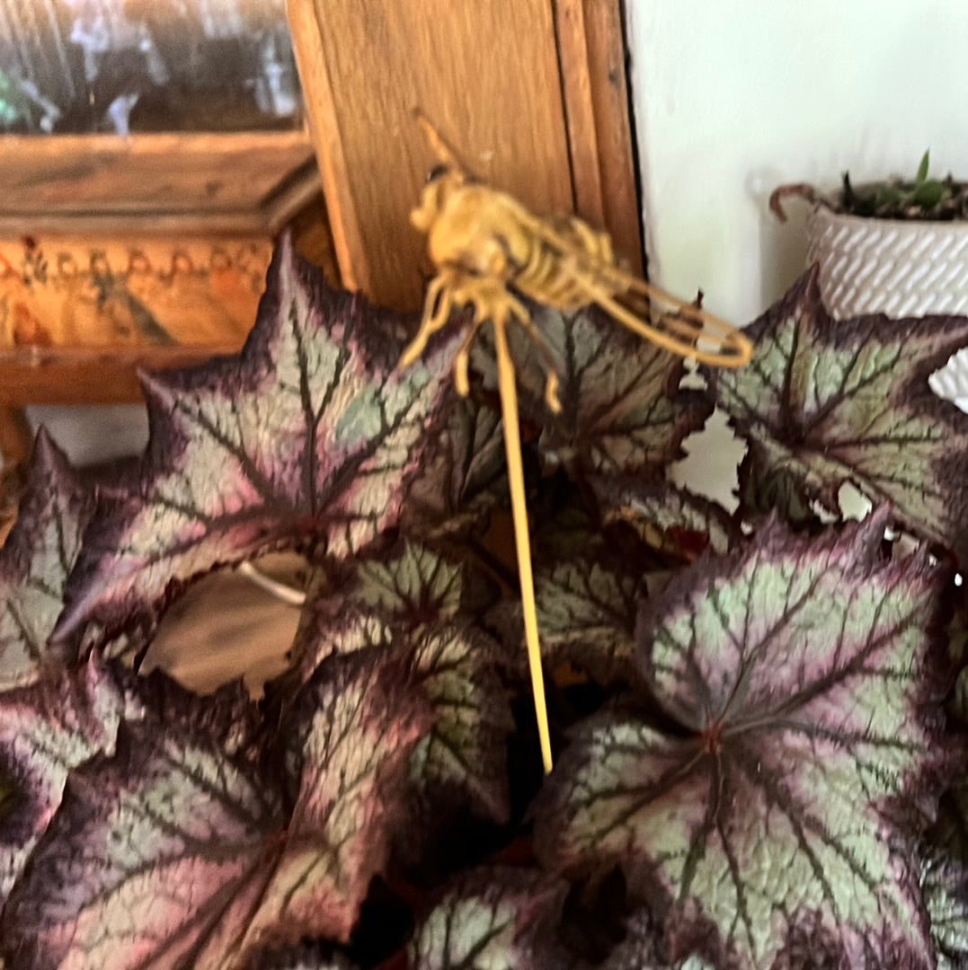  Metal Wire Bee on stick-large