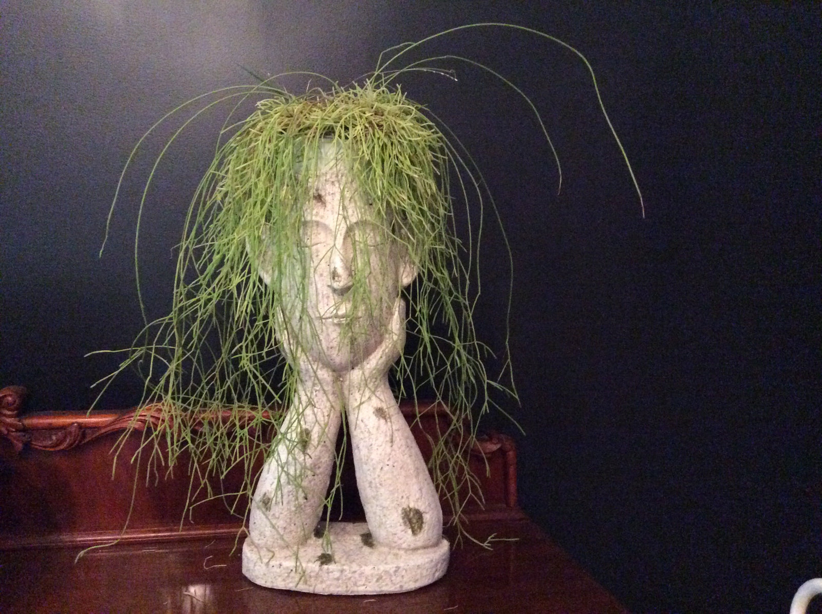  Arty Dreaming Planter