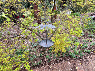  Hanging Birdfeeder with 2 Birds